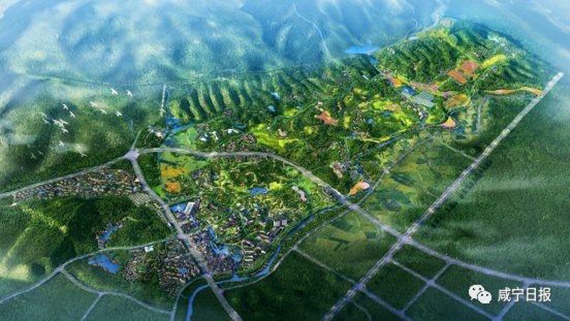 中医理疗:传统智慧为现代健康护航